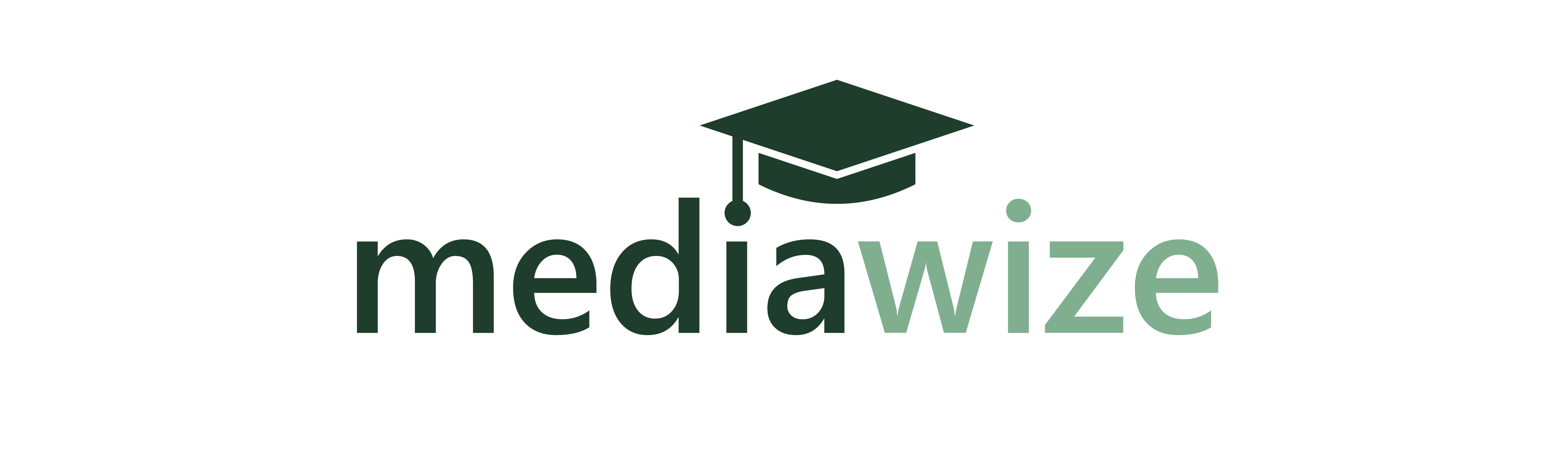 Mediawize